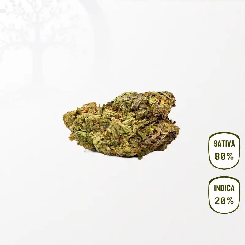 Tropical Haze CBD