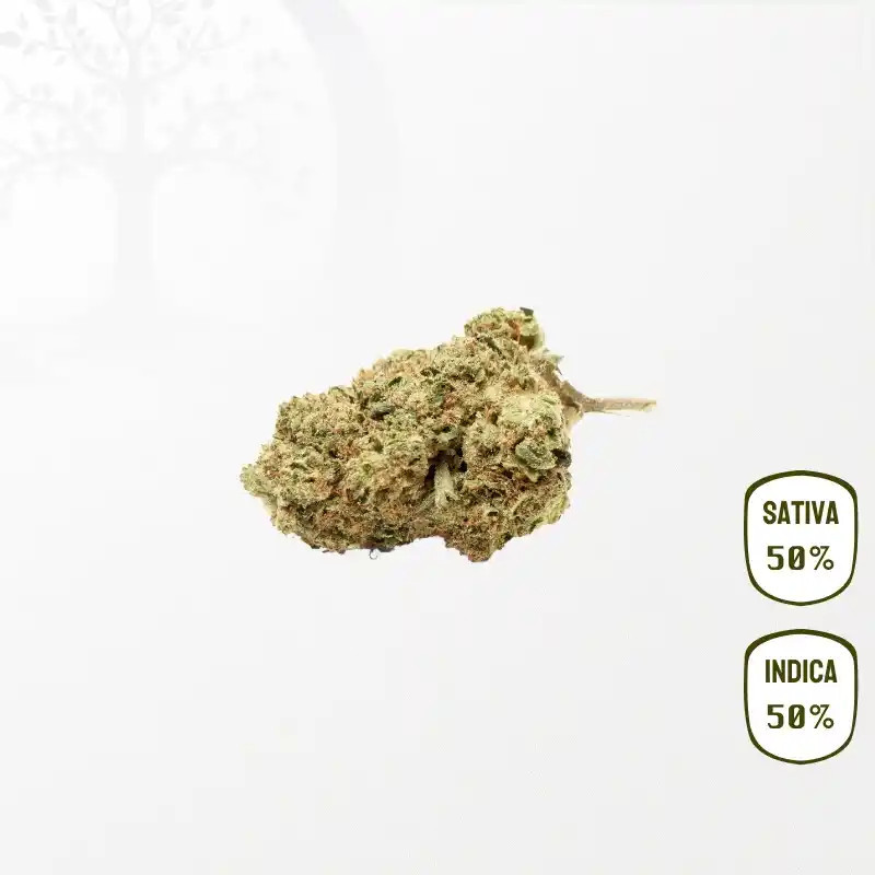 Jack Herer CBD