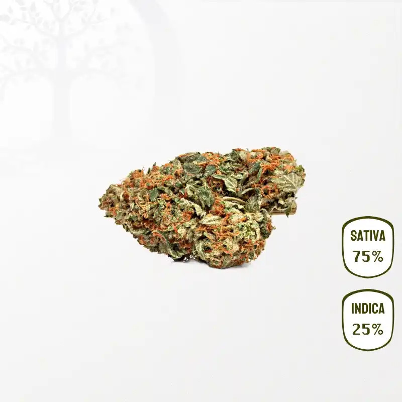 Strawberry Diesel CBD