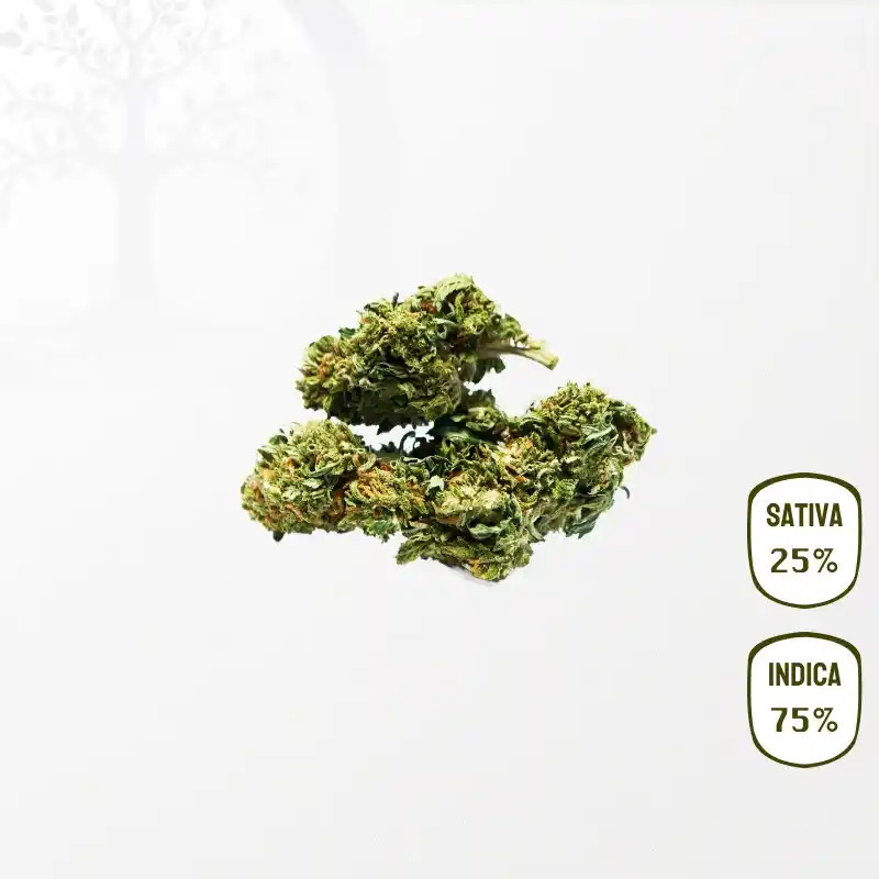 Og Kush CBD 25 grammes