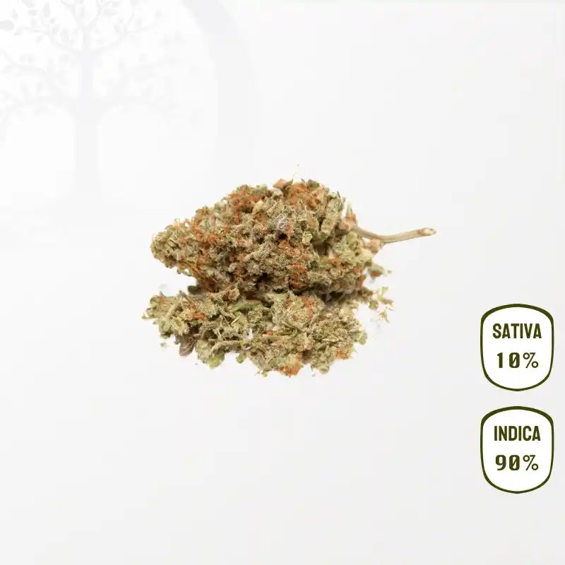 Purple Punch BIO CBD