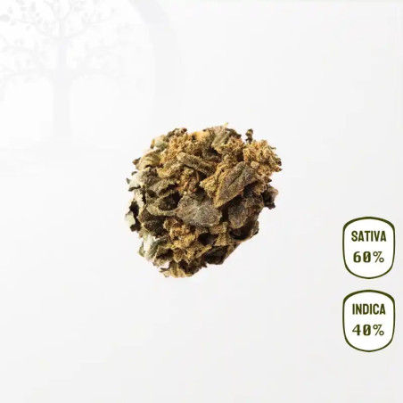 FenoQueen CBD