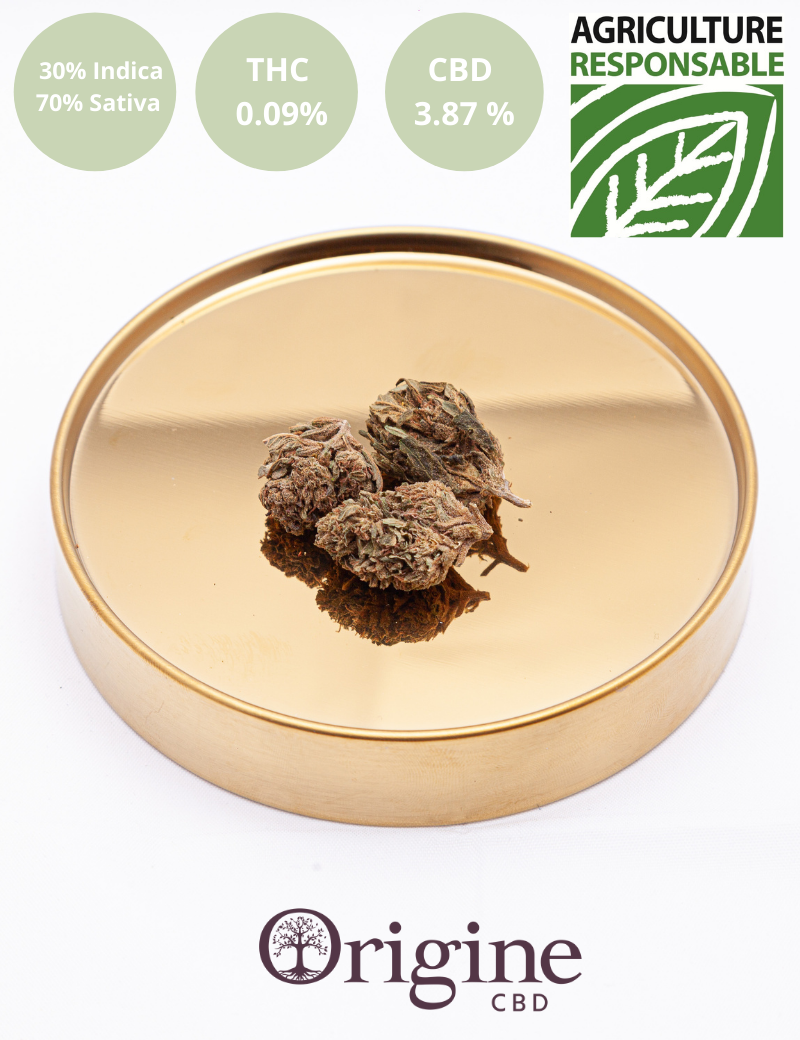 Amnesia Haze CBD Amnesia Haze CBD