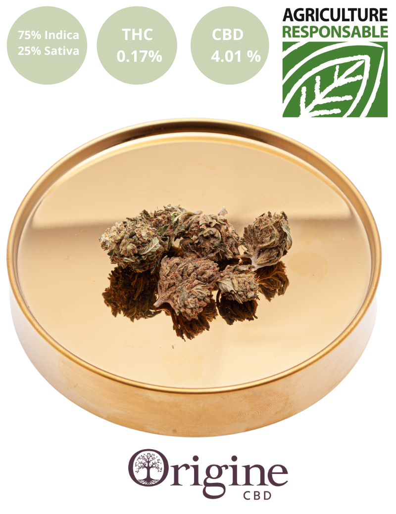 OG Kush CBD OG Kush CBD