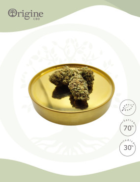 Super Lemon Haze BIO CBD
