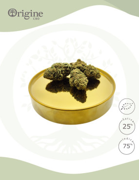 Og Kush BIO CBD