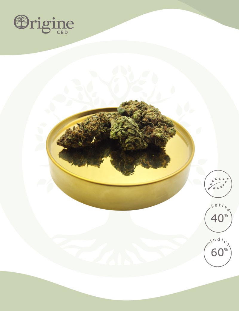 Green Berry Kush BIO CBD Green Berry Kush BIO CBD