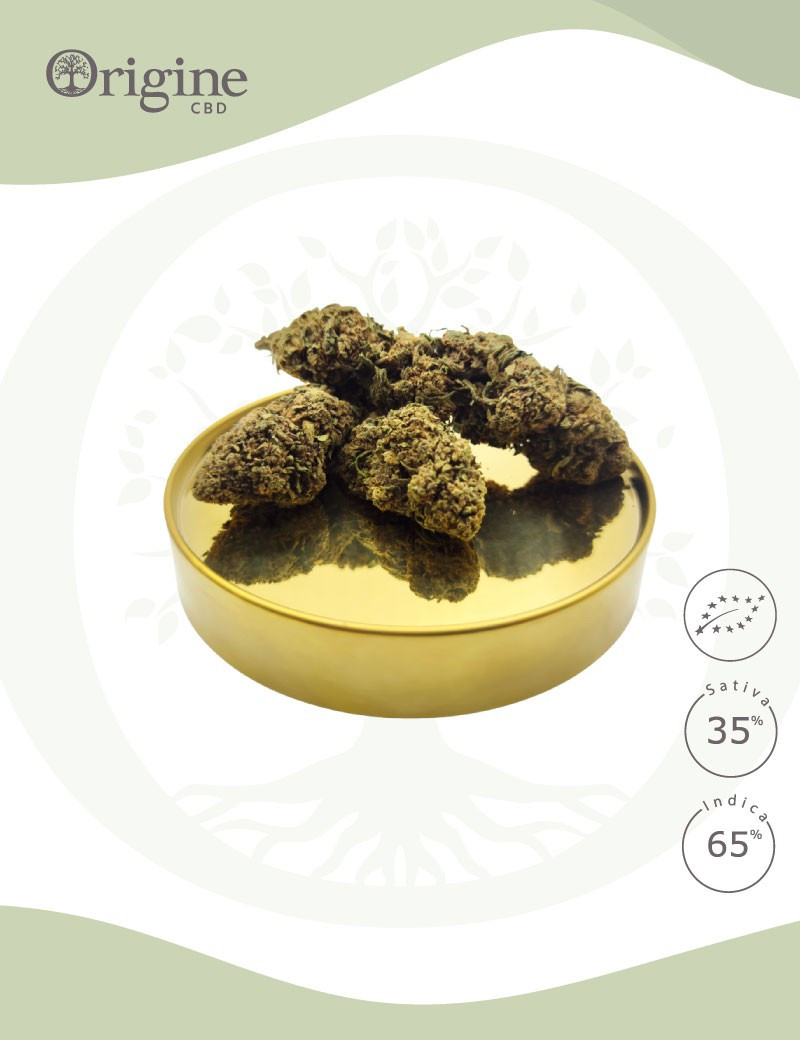 Mango Kush BIO CBD Mango Kush BIO CBD