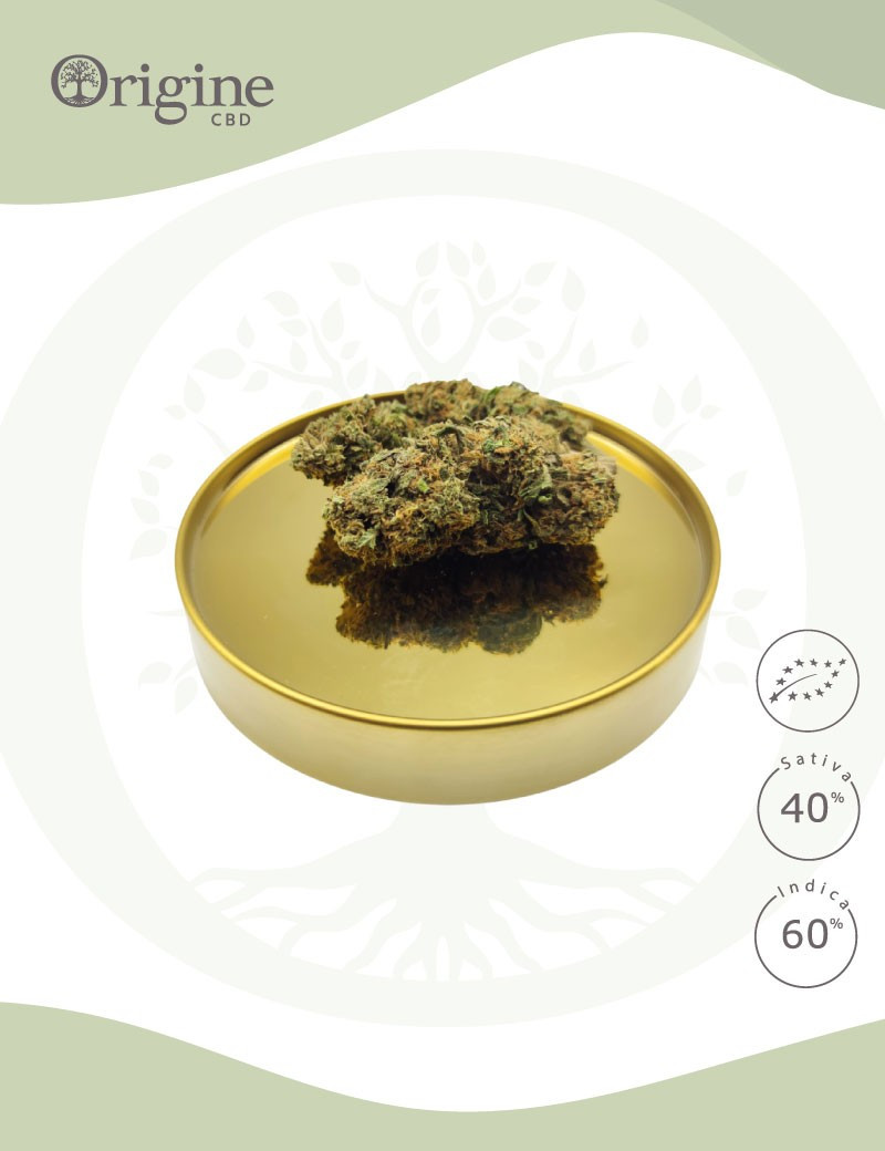 Gelato BIO CBD Gelato BIO CBD