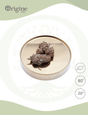 Orange Bud BIO CBD
