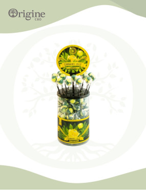 Sucette à base de chanvre parfum LEMON HAZE