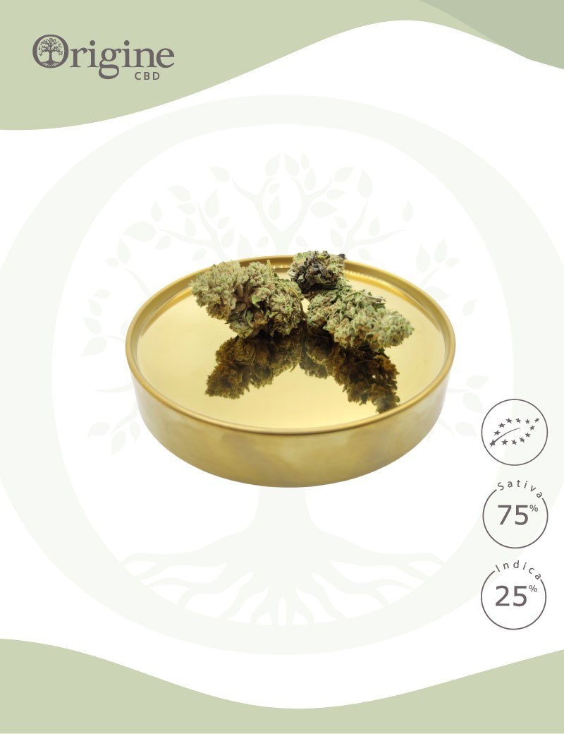 Limoncello BIO CBD Limoncello BIO CBD