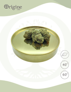 Blue Gelato BIO CBD