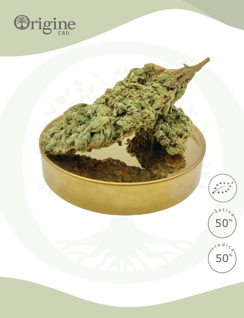White Frost BIO CBD White Frost BIO CBD