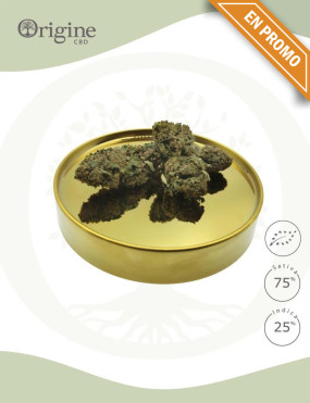 Amnesia BIO CBD