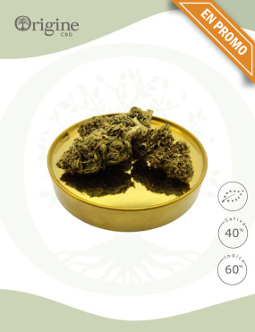 Cheesy Kush BIO CBD