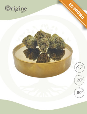 Critical Kush BIO CBD