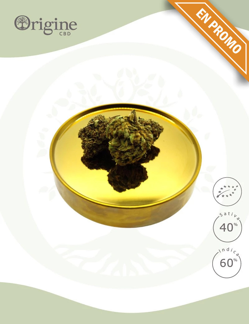 Crytical + BIO CBD Crytical + BIO CBD
