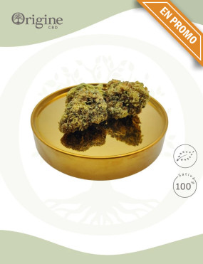 Dr. Grinspoon BIO CBD