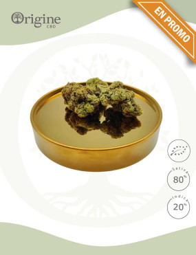 Orangello BIO CBD