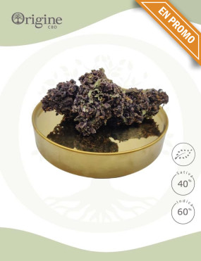 Purple Black BIO CBD