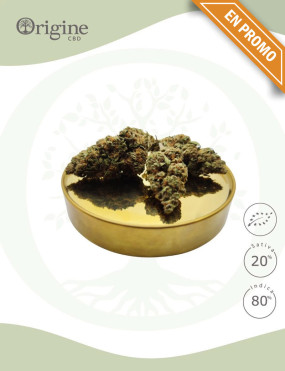 Skittlez BIO CBD