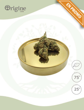 Strawberry Diesel BIO CBD