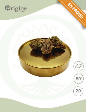 Tropical Haze BIO CBD