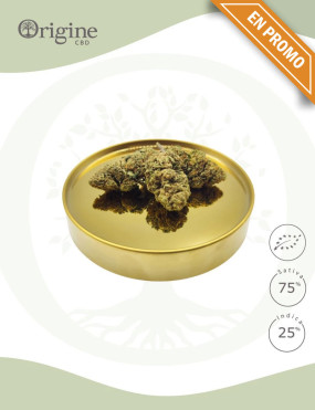 Harlequin BIO CBD