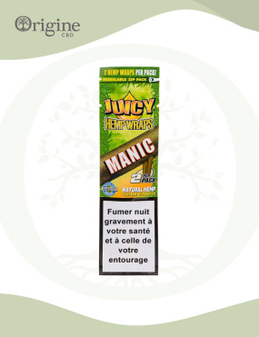 Blunt Chanvre Aromatisé Mangue Juicy Jay's