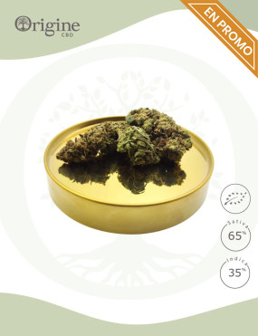 Bruce Banner BIO CBD