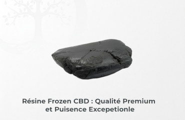 Résine Frozen CBD : Qualité Premium et Puissance Exceptionnelle