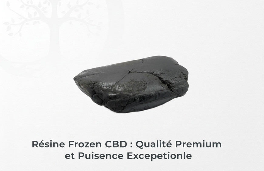 Résine Frozen CBD : Qualité Premium et Puissance Exceptionnelle