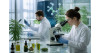 Comment le CBD est devenu un sujet majeur de recherche scientifique ?