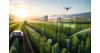 Culture du chanvre en 2026 : les innovations et nouvelles techniques qui transforment le secteur