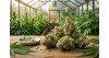 Meilleures fleurs CBD greenhouse en 2026