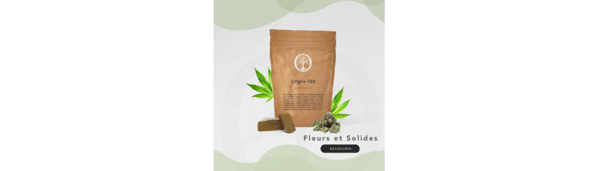 Fleurs et Résine CBD - 100% Légal et Naturel Bio ⋆ Origine CBD ⋆