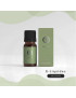 E-liquides et Vaporisateurs CBD