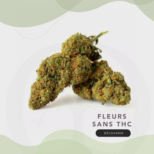 Fleurs CBD Sans THC