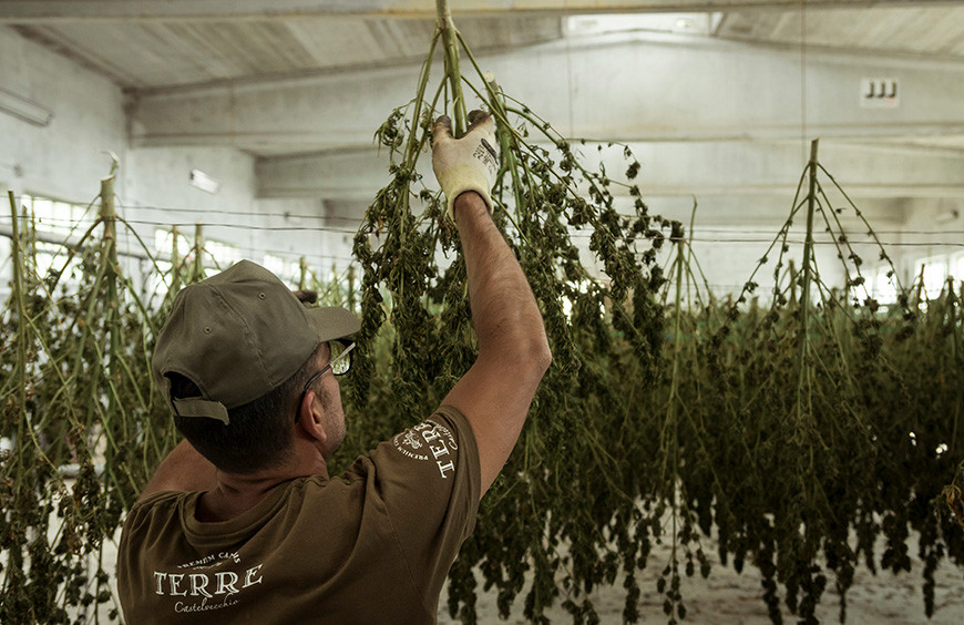 experience-securisee-permis-conduire