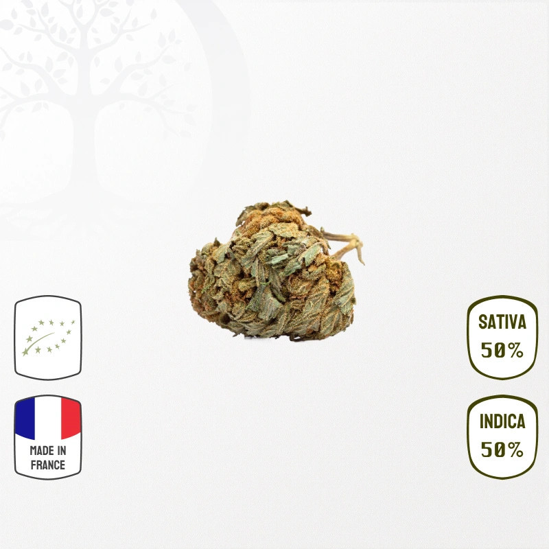 image_produit_becassine