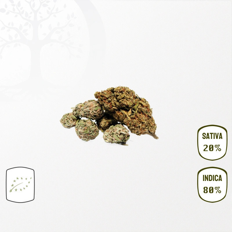 image_produit_critical