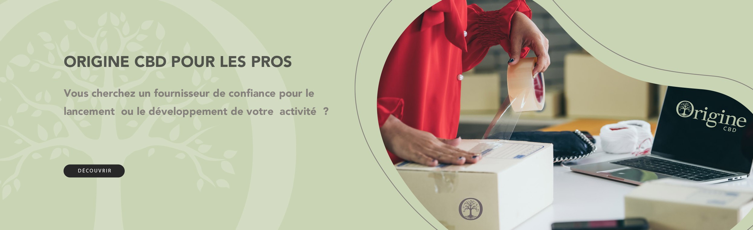 Grossiste et producteur de CBD - Huiles, fleurs, résines | Origine CBD