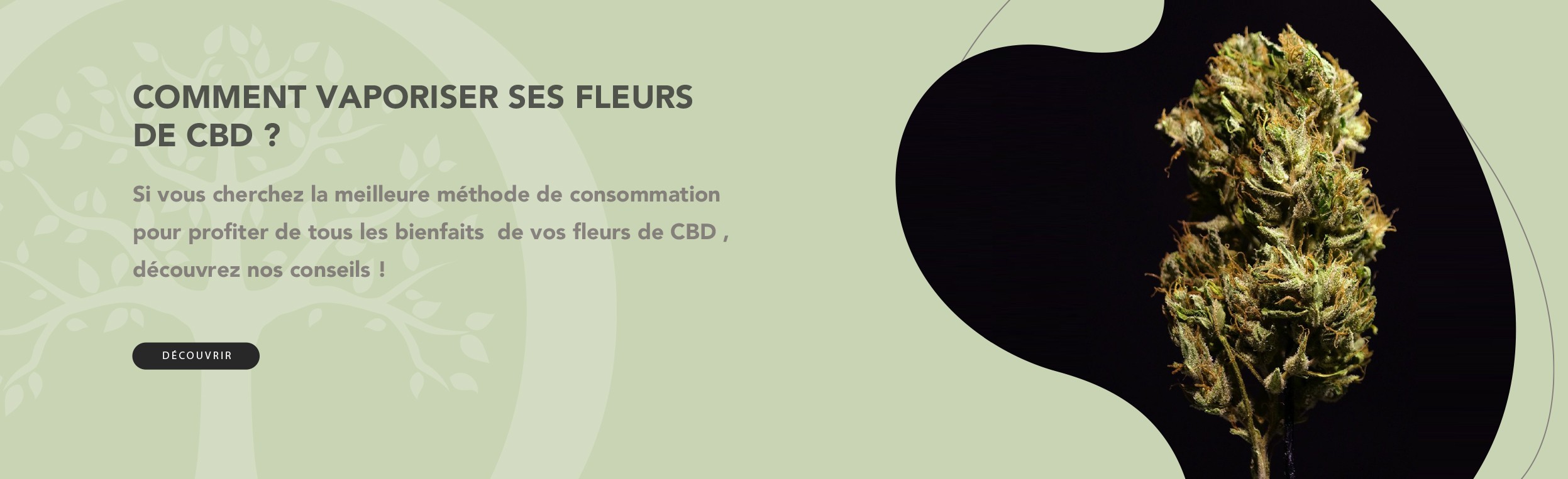 COMMENT VAPORISER SES FLEURS DE CBD