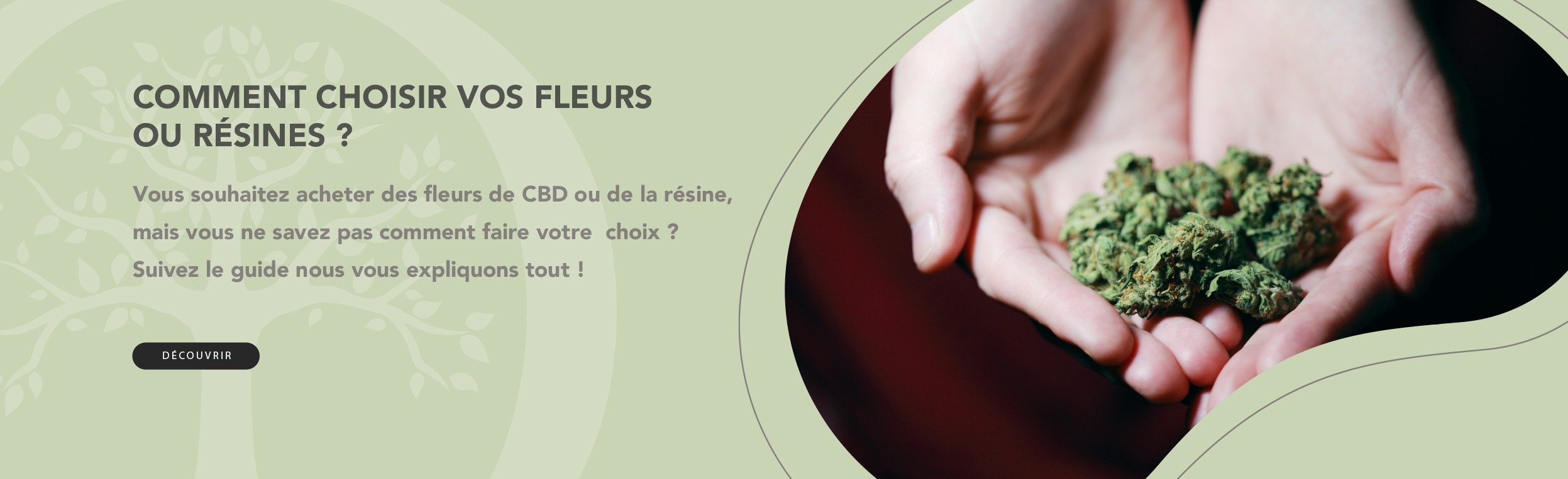 Comment Choisir vos Fleurs ou Résines