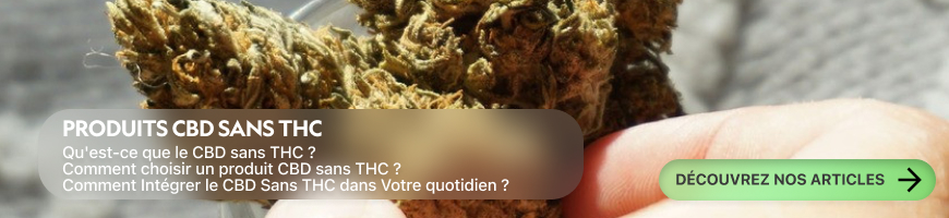 CBD sans THC 