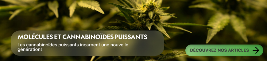 Molécules et Cannabinoïdes puissants