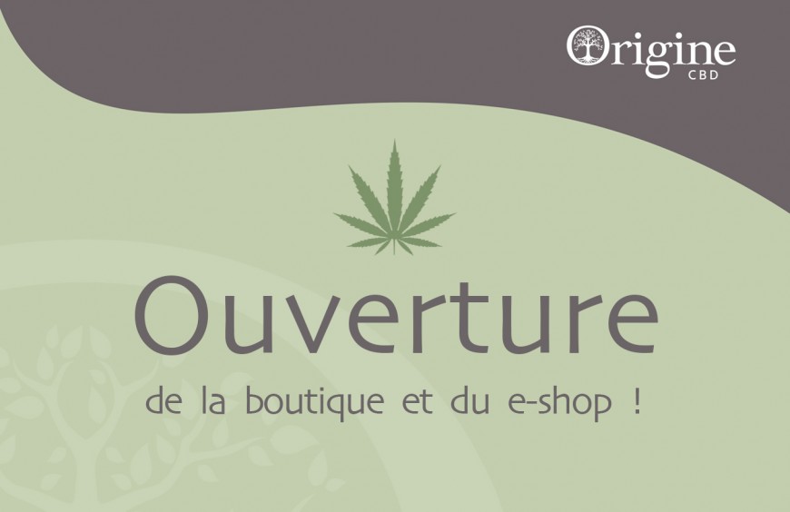 Lancement De La Boutique Et Du E-shop Origine CBD