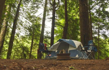 Le CBD en Camping : Guide Complet pour Une Expérience Relaxante et Naturelle