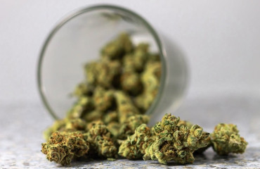 7 Astuces pour trouver du CBD pas cher sans sacrifier la qualité